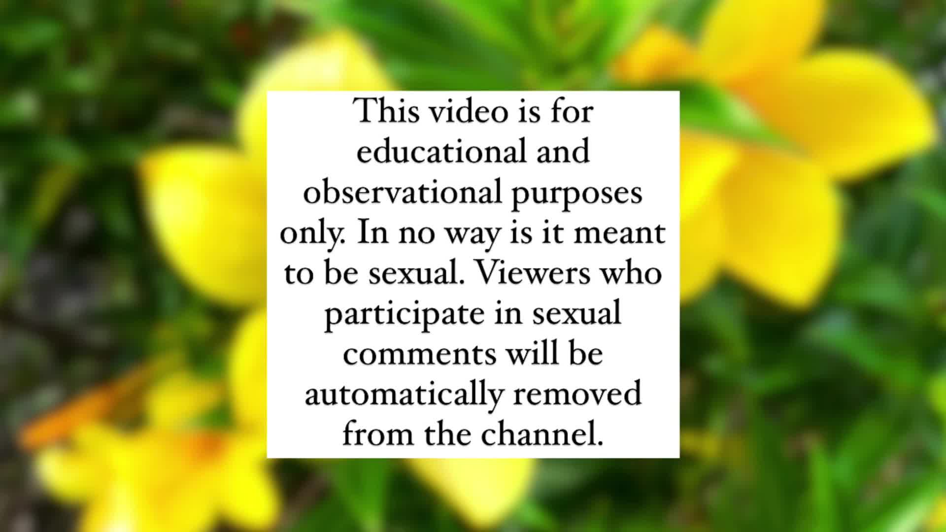Video 877849 from MSFIIIRE | Emily Taylor | lilly_bloomes | lillyblooms