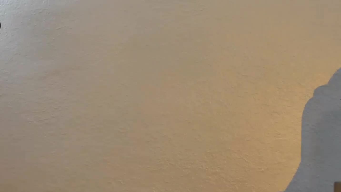 Video 878098 from Kateelife/ Katee Owen