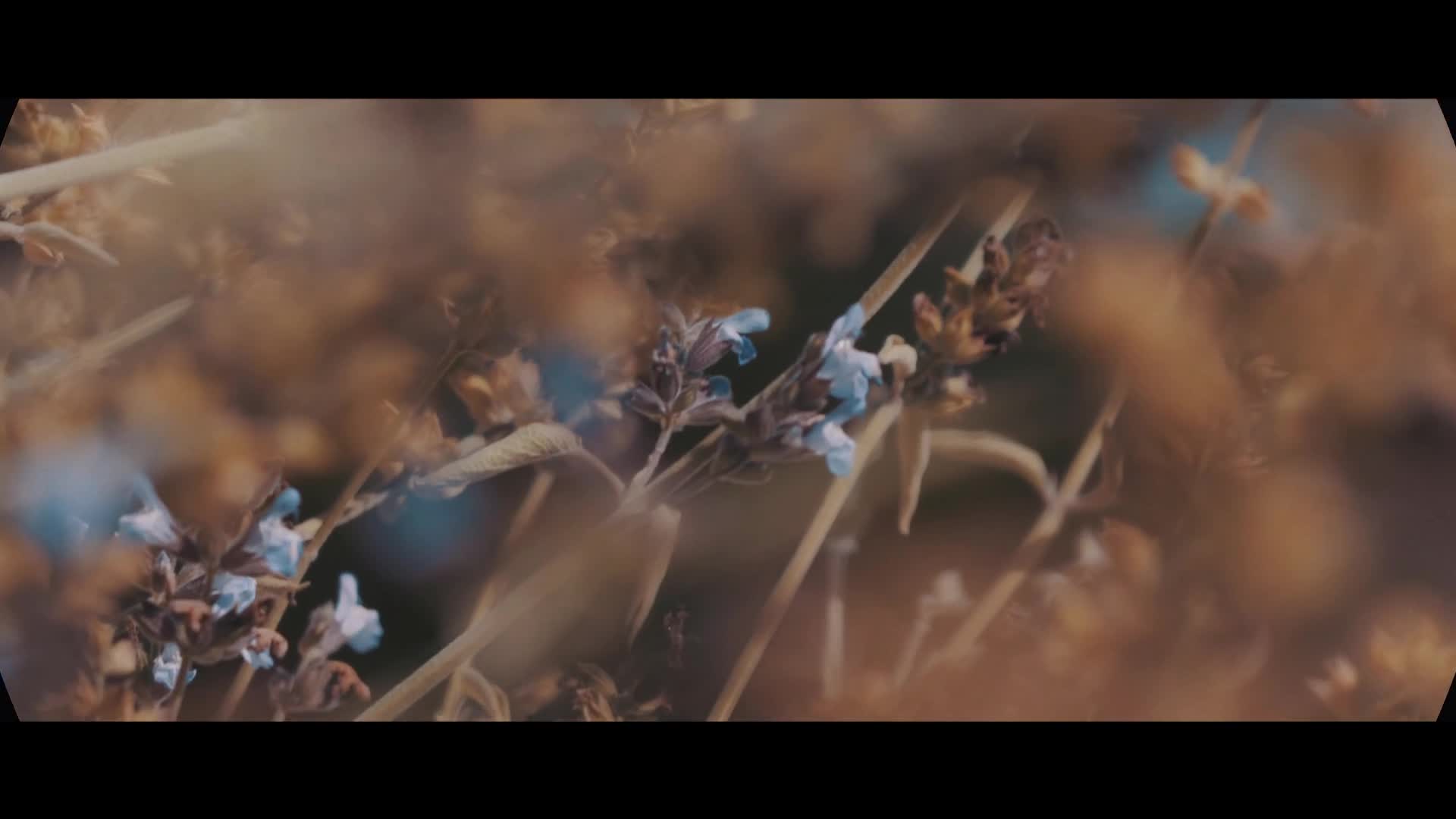 Video 880741 from Demi Rose Mawby