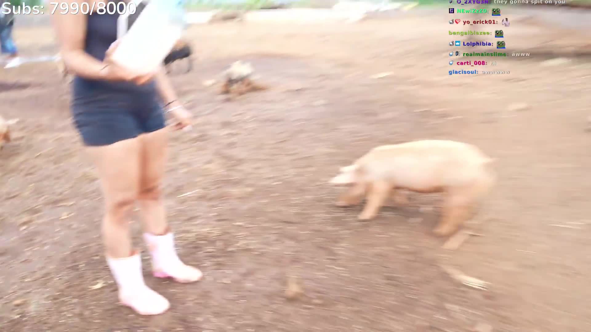 Video 881832 from Cinnabrit
