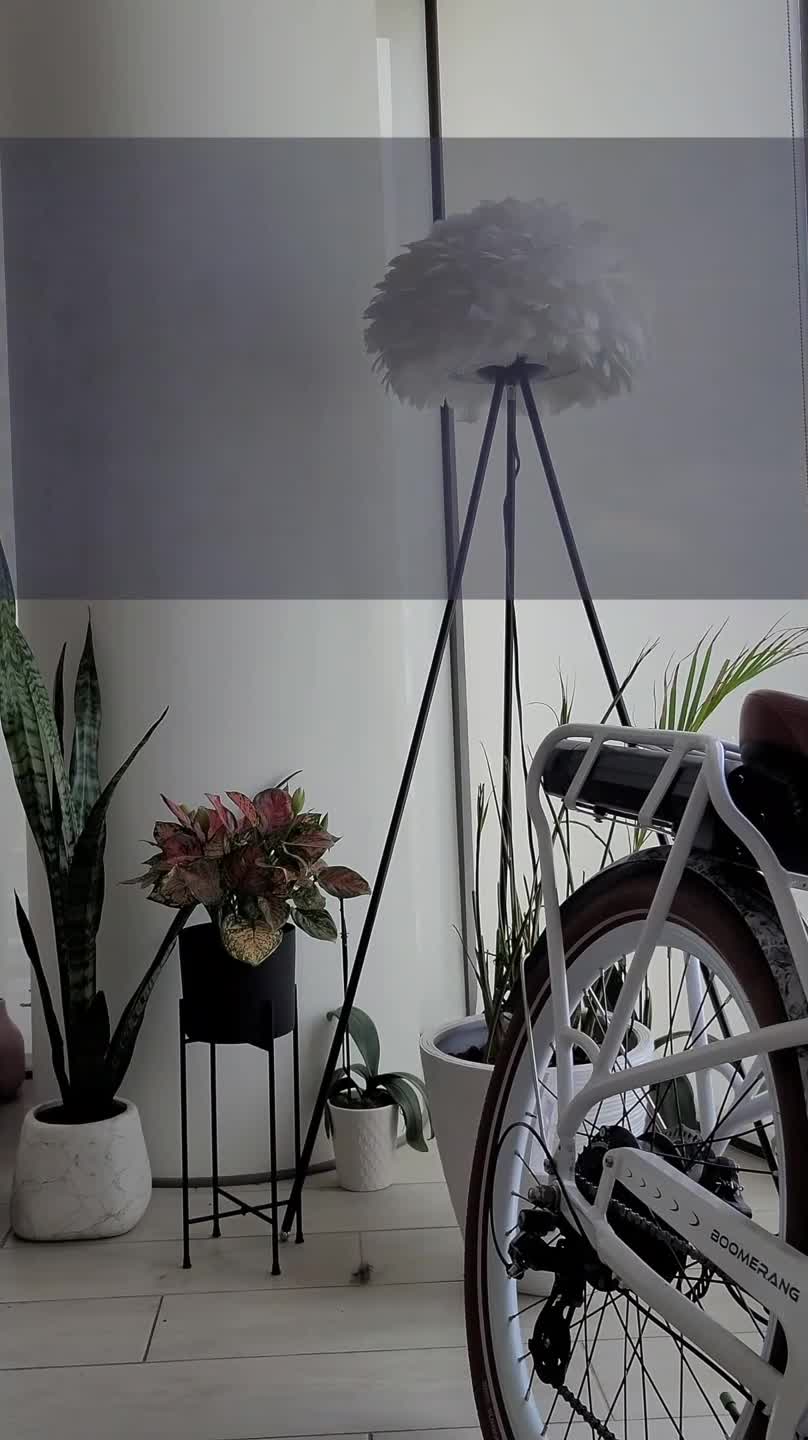 Video 883539 from Bitchinbubba / bralessforever