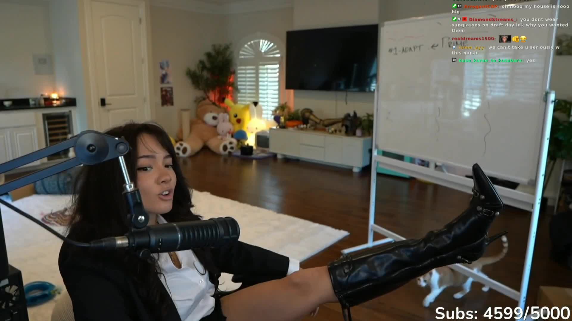 Video 884124 from Cinnabrit