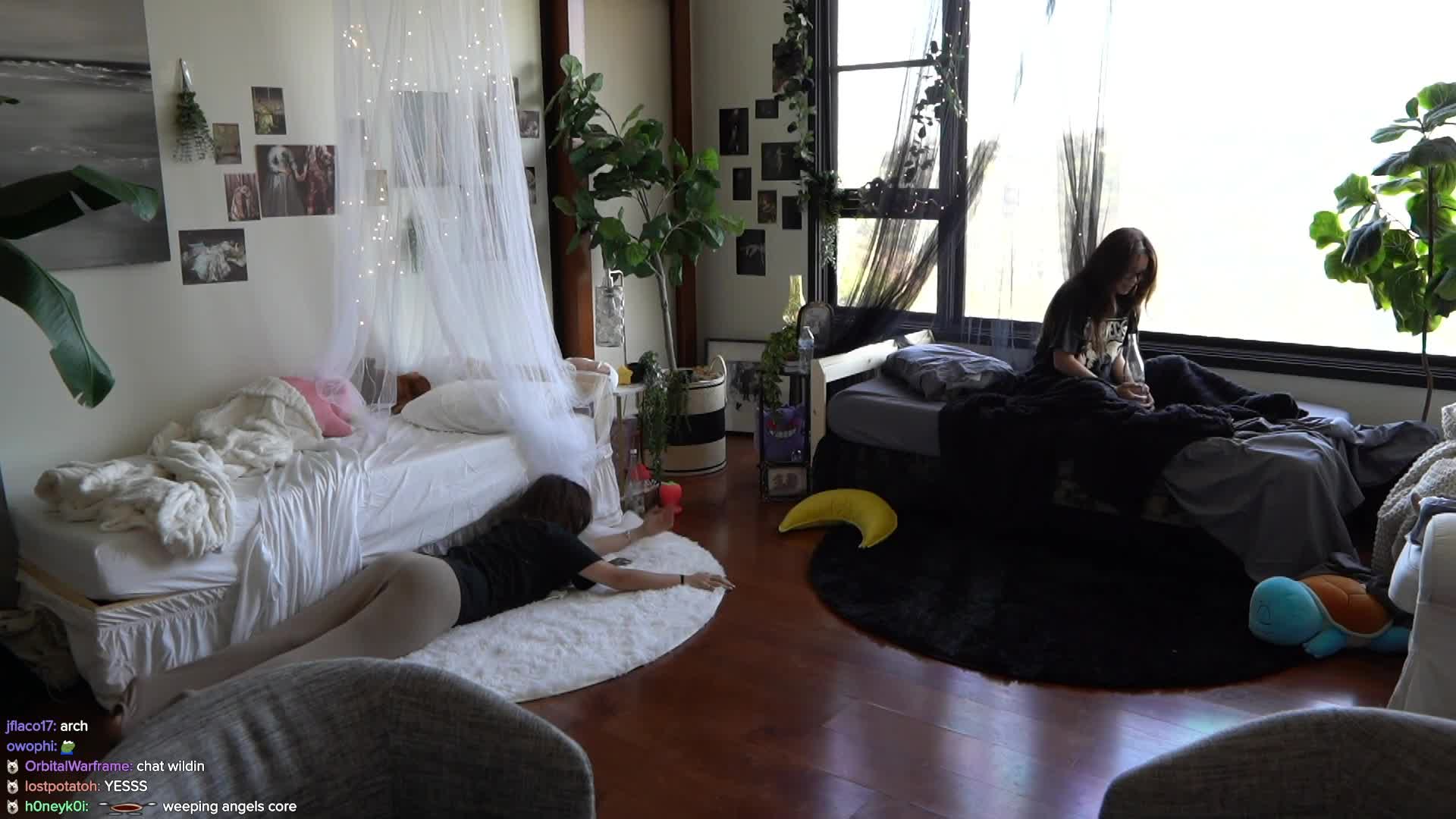 Video 885827 from Cinnabrit