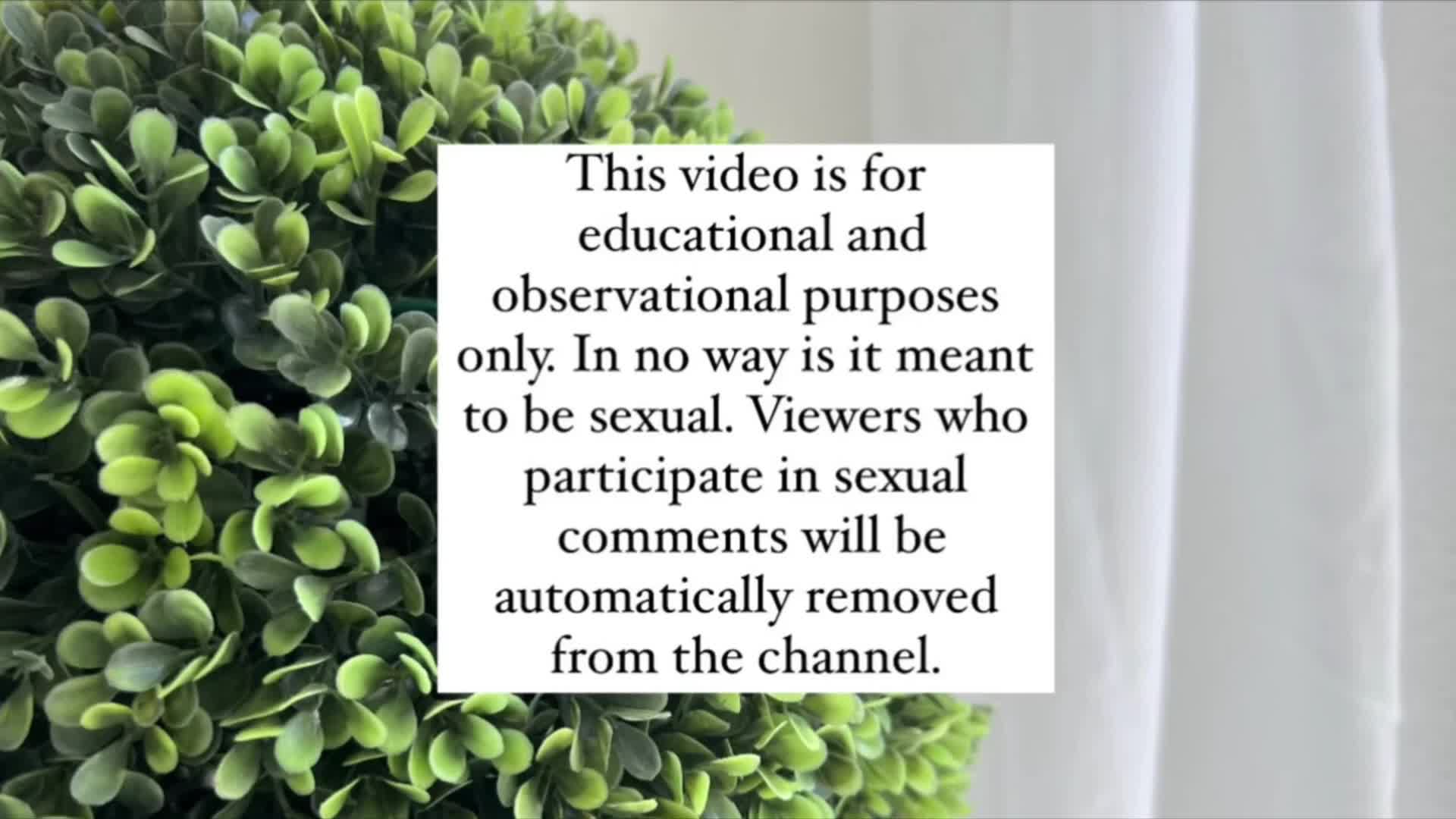 Video 886548 from MSFIIIRE | Emily Taylor | lilly_bloomes | lillyblooms