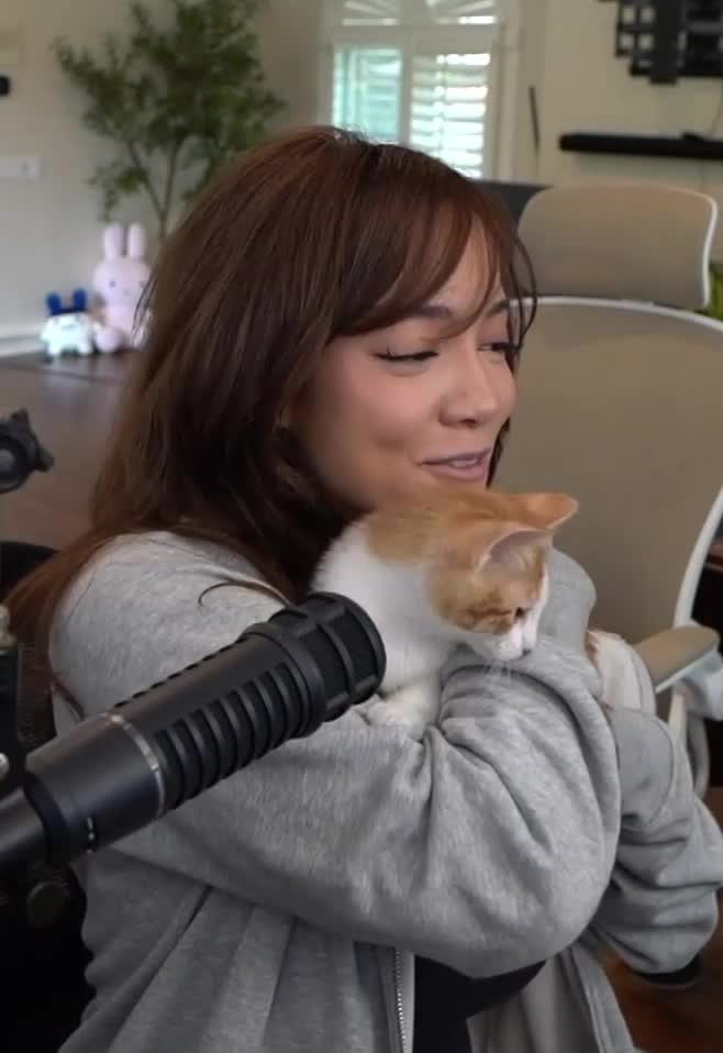 Video 887093 from Cinnabrit