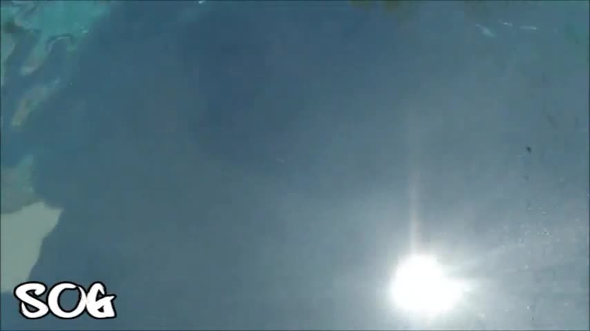 Video 888858 from Kateelife/ Katee Owen