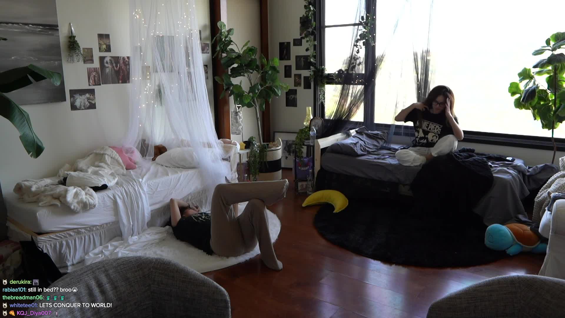 Video 889235 from Cinnabrit