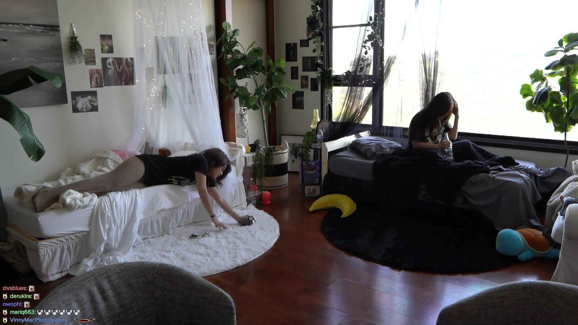 Video 889245 from Cinnabrit