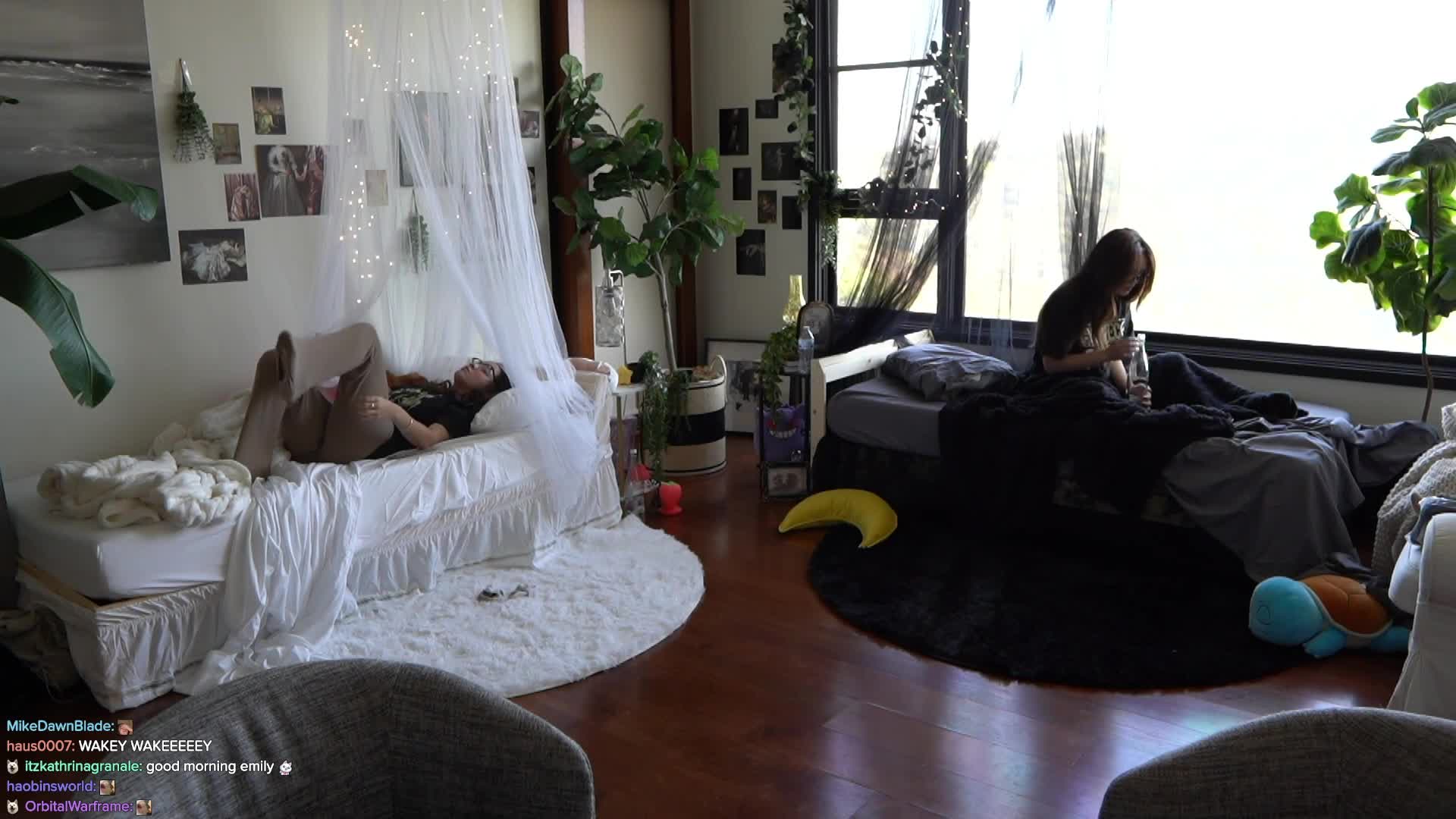 Video 889251 from Cinnabrit