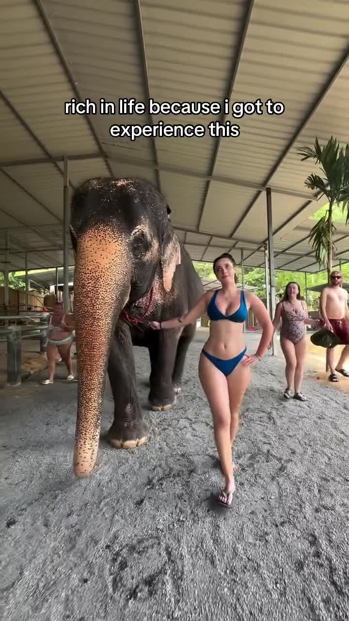 Video 889657 from Hotblockchain / Emily Cocea / cryptobaddie1