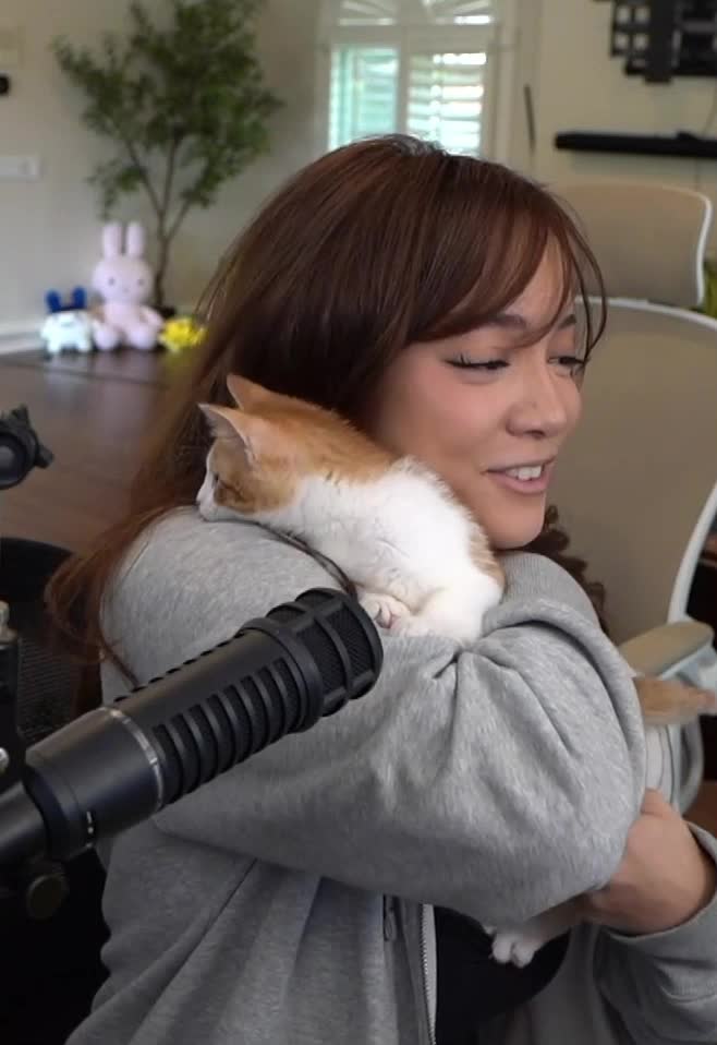 Video 891782 from Cinnabrit