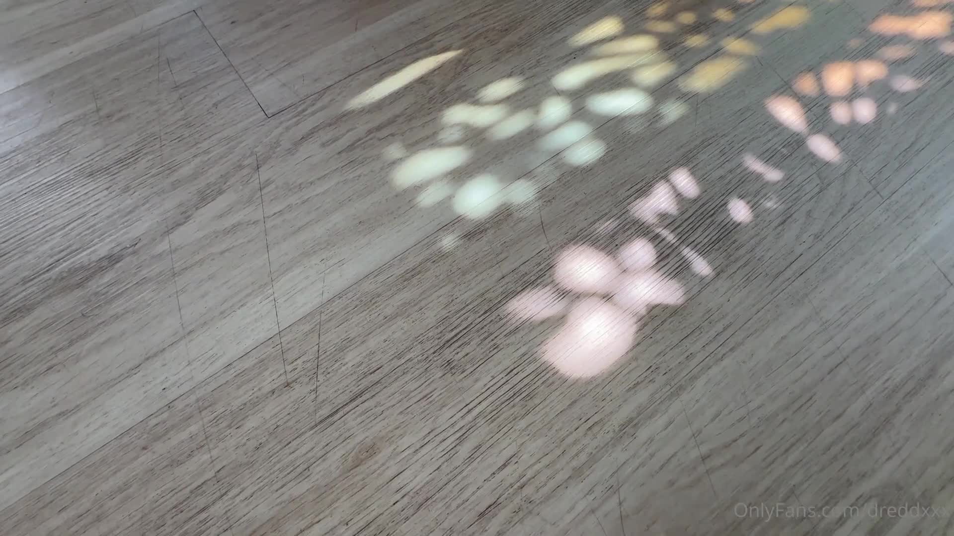 Video 892507 from Dredd