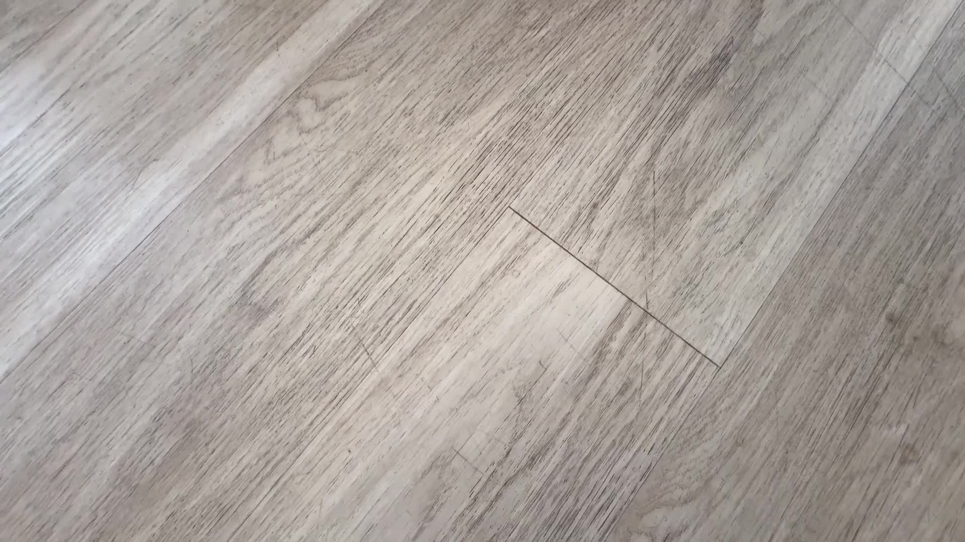 Video 892531 from Dredd