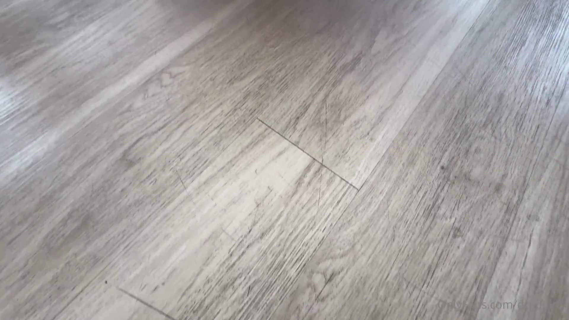 Video 892530 from Dredd