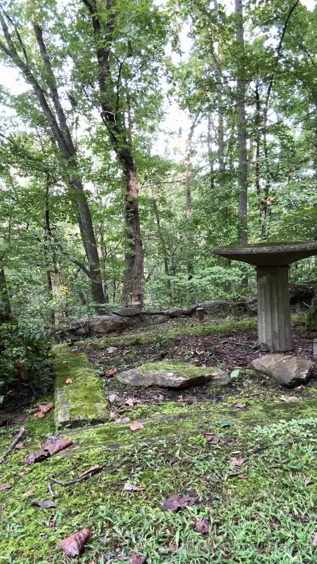 Video 892780 from Eva Lovia / Fallinlovia