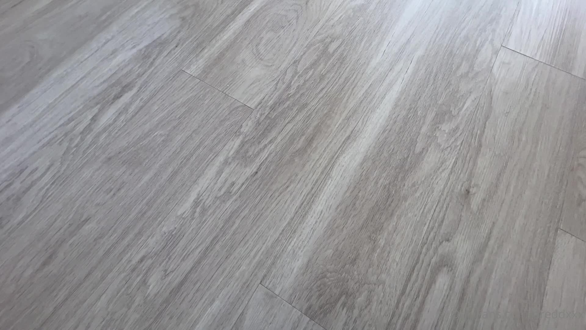 Video 894102 from Dredd