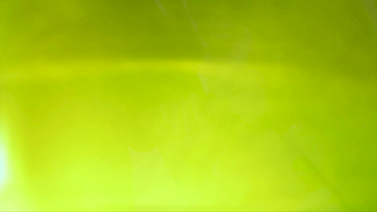 Video 895046 from Mr. Lucky / MrLucky / MrLuckyPOV / MrLuckyRAW