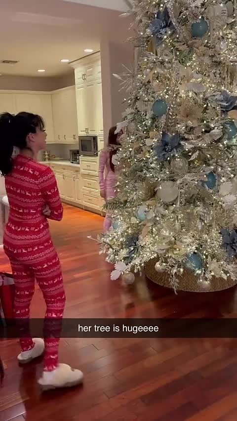 Video 897297 from Malayaax - Sophieraiin