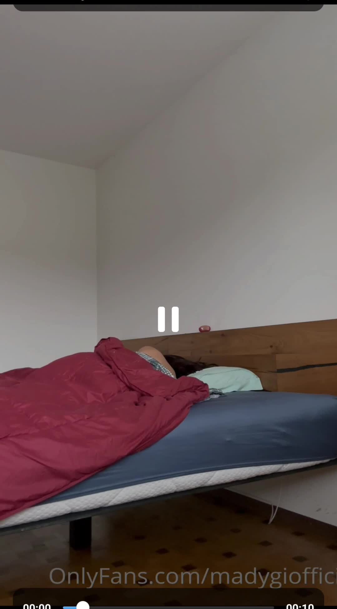 Video 899423 from Madalina Loana Filip