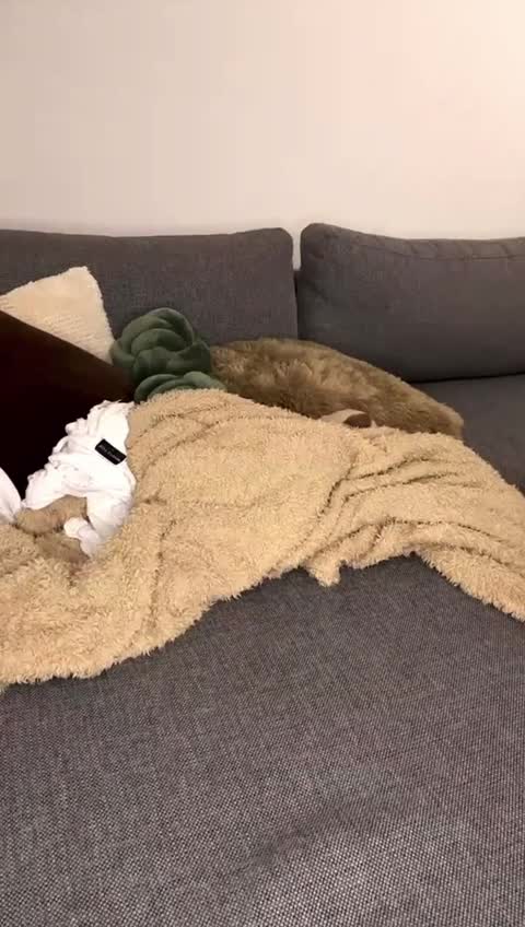 Video 899856 from Megan McCarthy / megmariiee