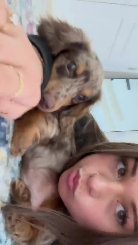 Video 902831 from Malayaax - Sophieraiin