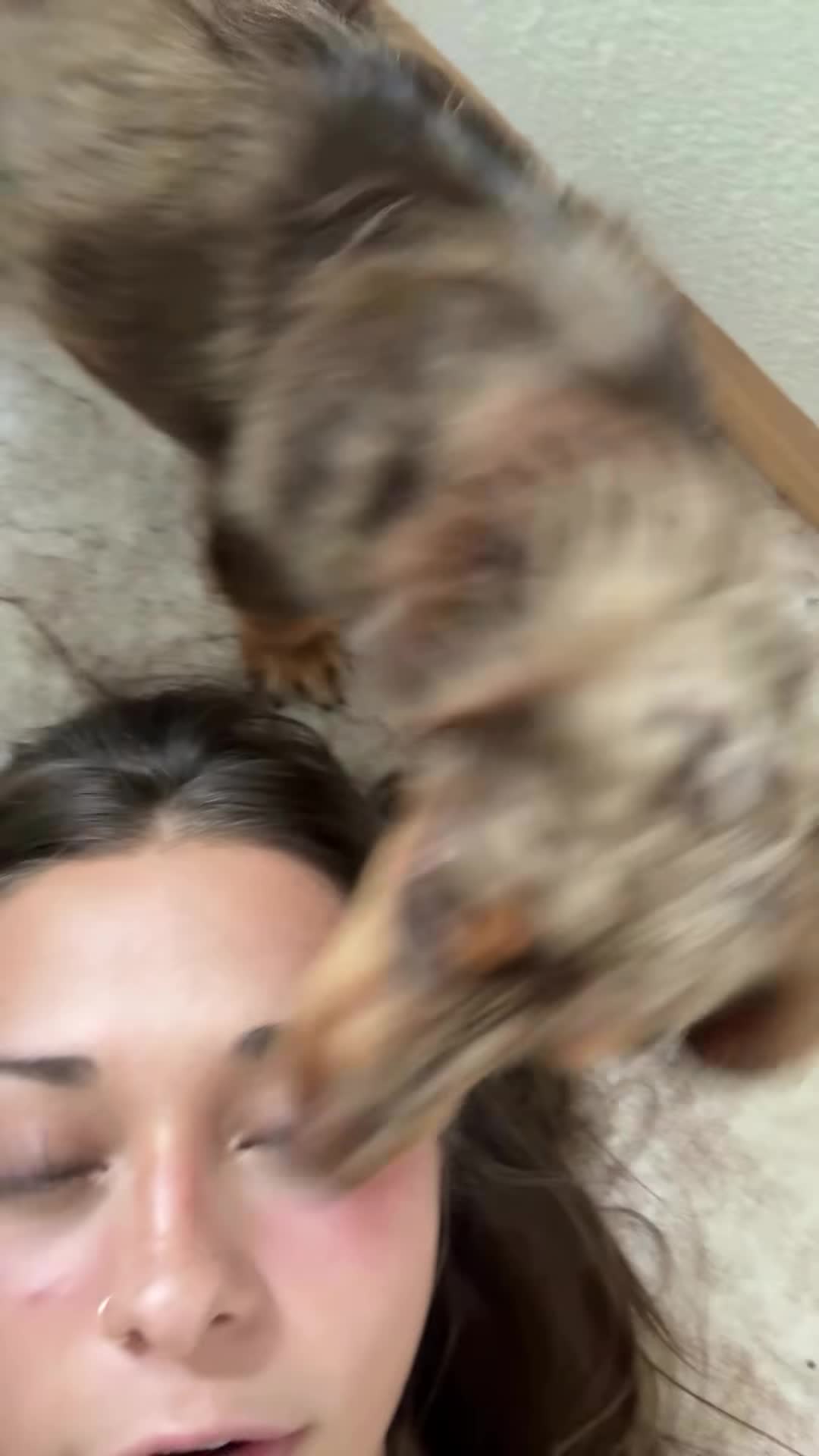 Video 902839 from Malayaax - Sophieraiin