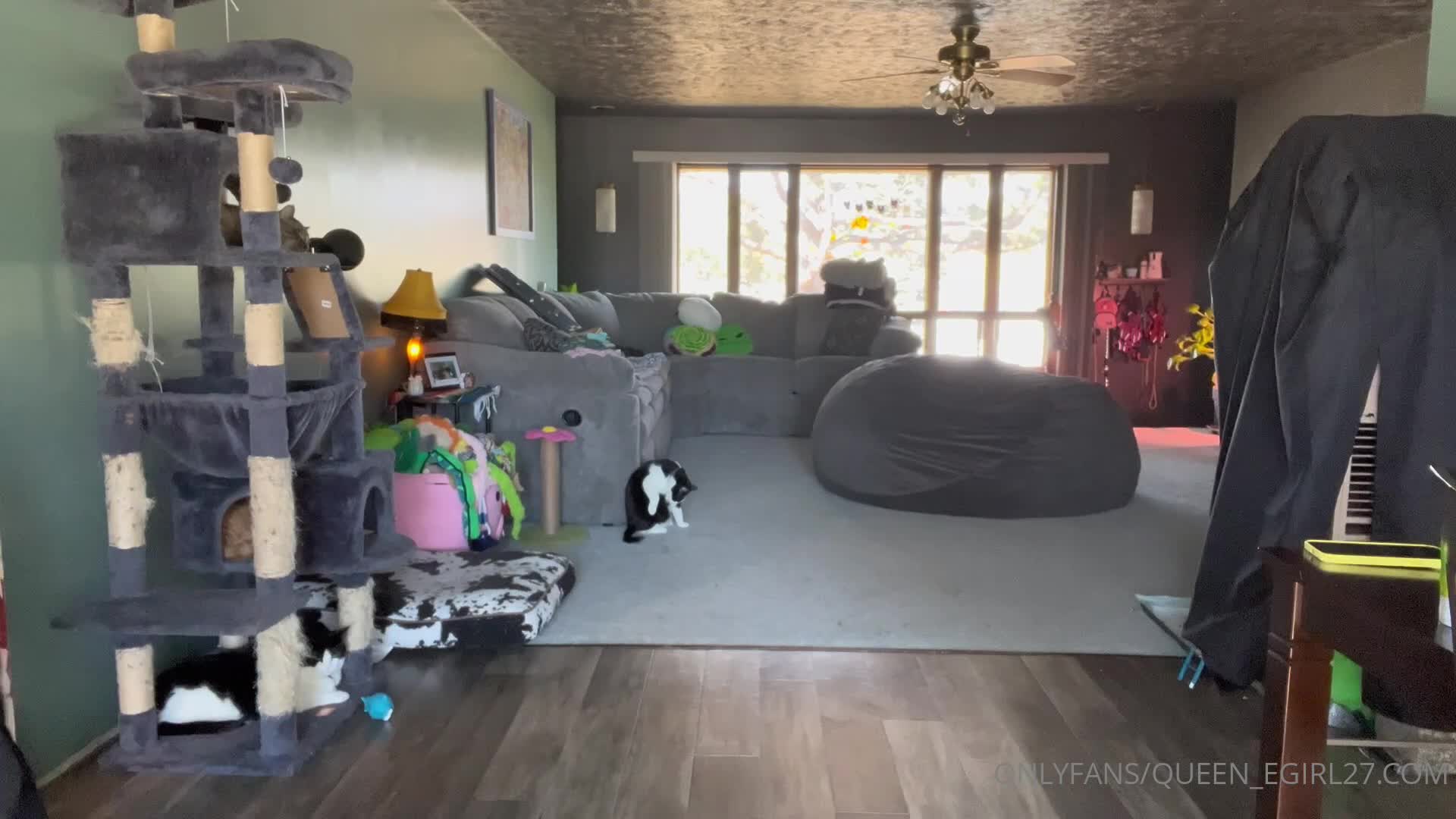 Video 904116 from Queen_D / queen_egirl27