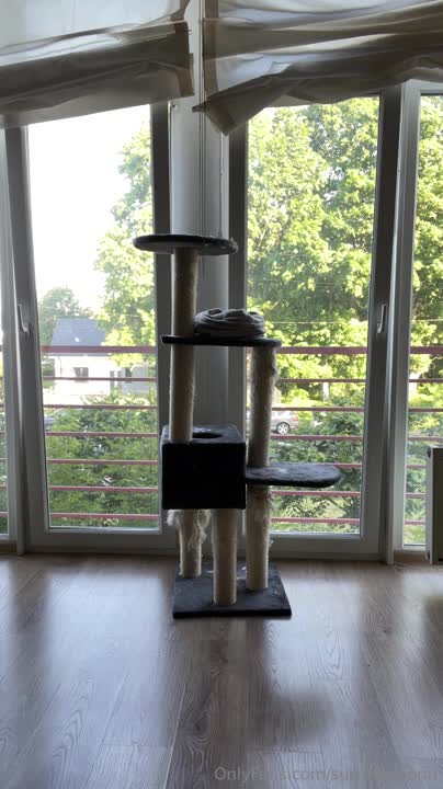 Video 913402 from NatsumiPon