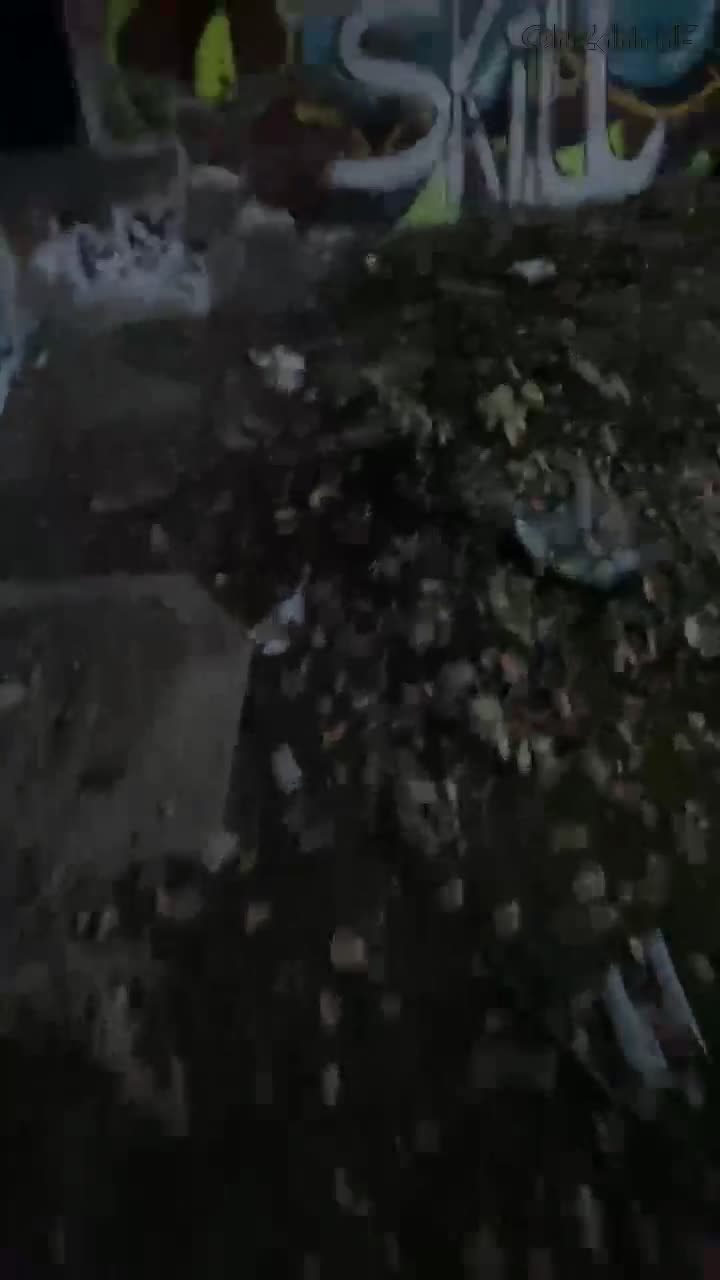 Video 916190 from MissFortune / Miss-Fortune
