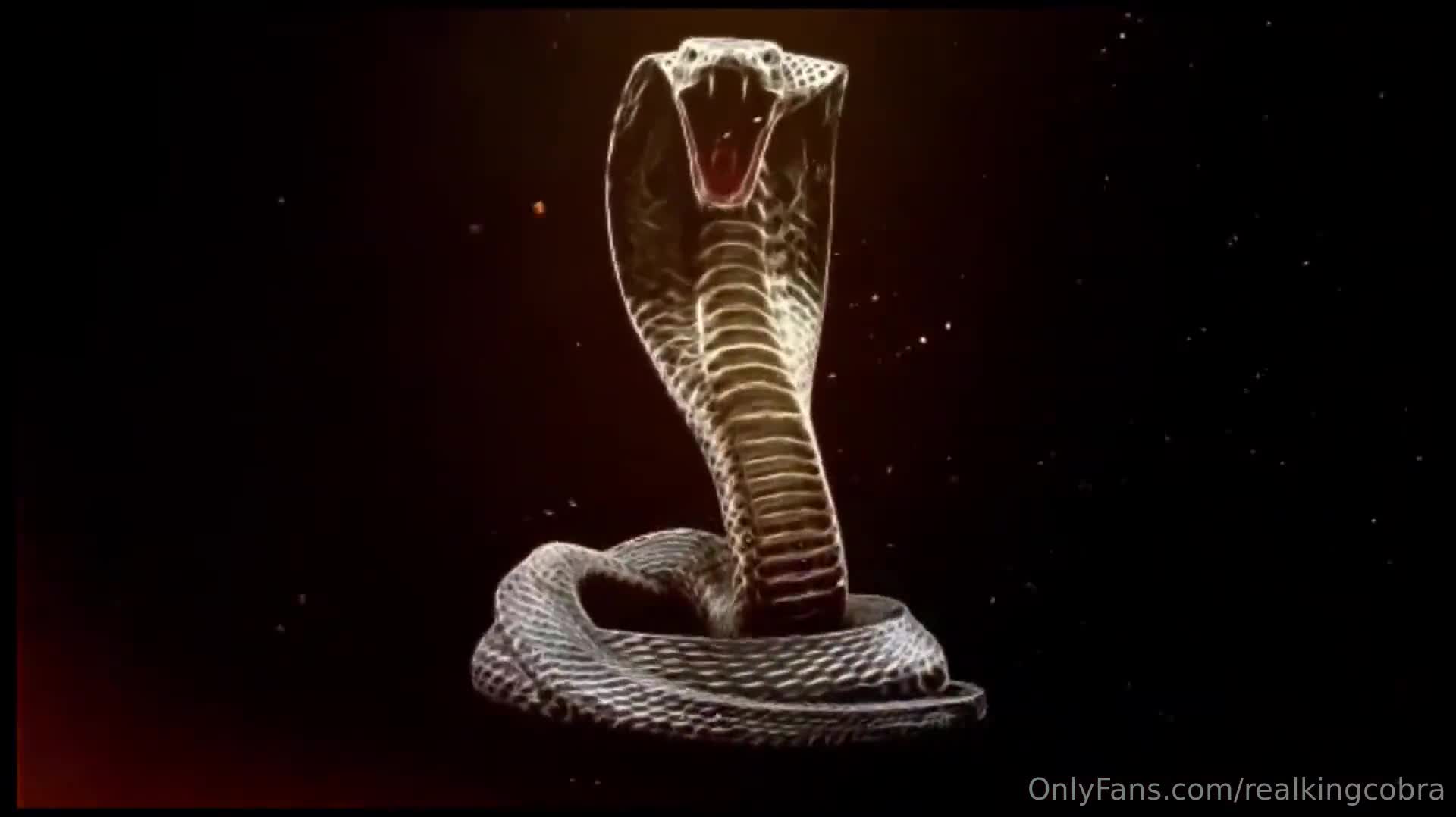 Video 916254 from QosTiffy/ TiffyQos