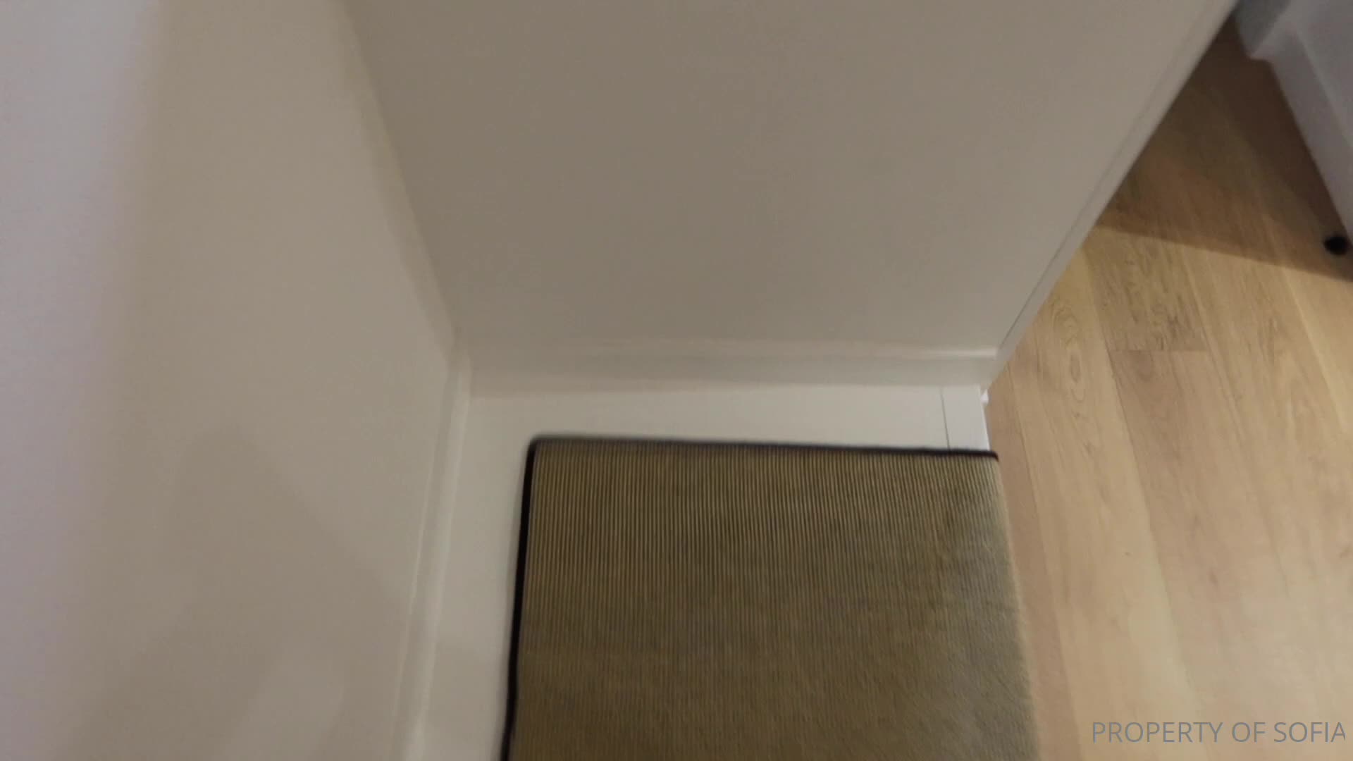 Video 917728 from sofiandrea