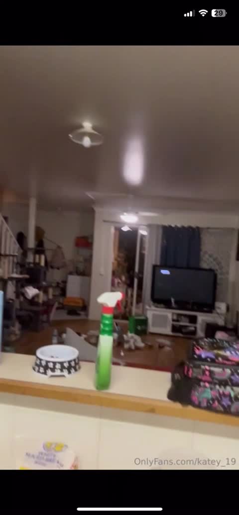 Video 919961 from katey_18 / Katey Jarvis