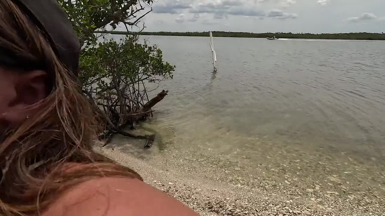 Video 920392 from The Beachy Peach