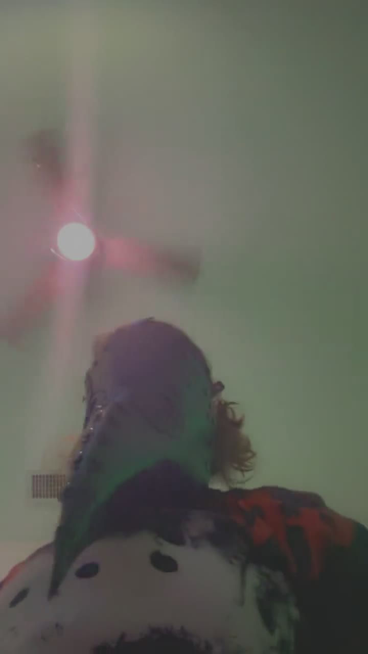 Video 921104 from Thorn Bush