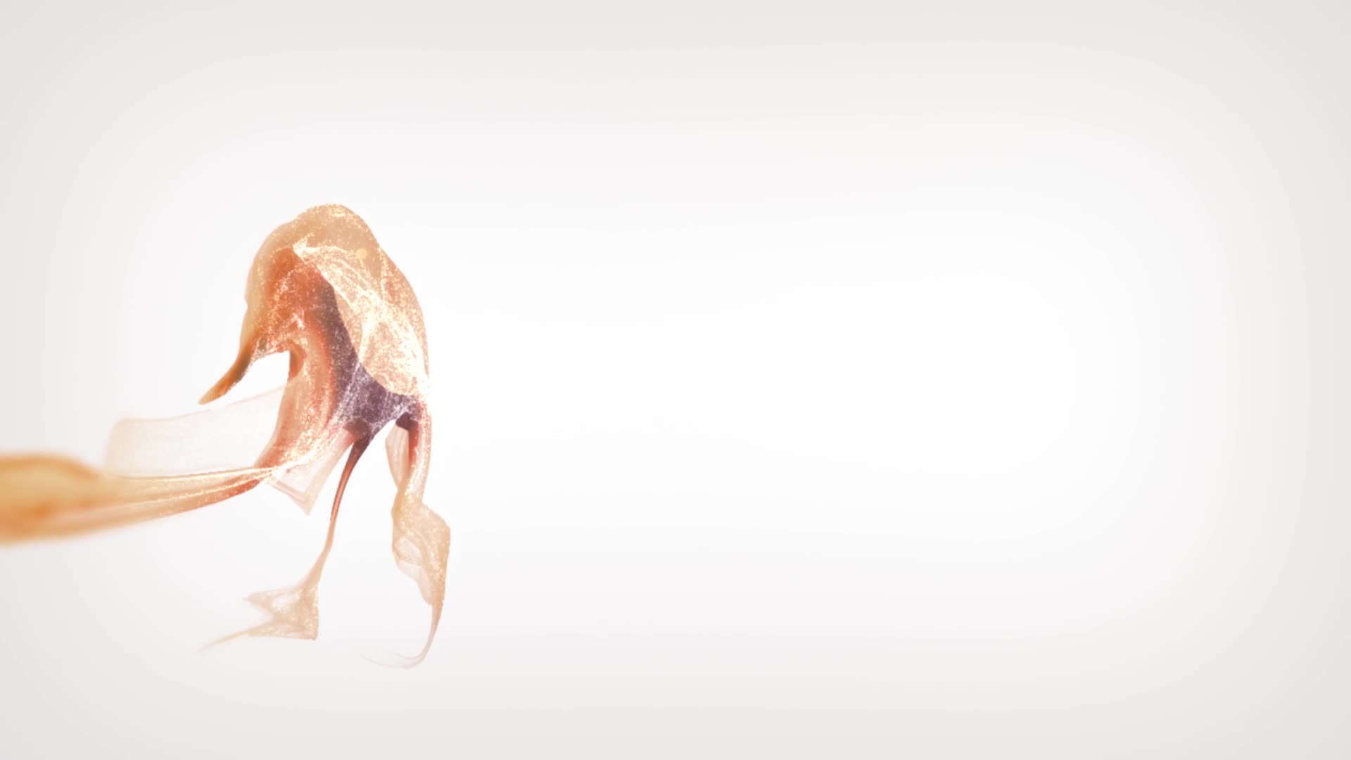 Video 921455 from Stella Sol / thestellargf