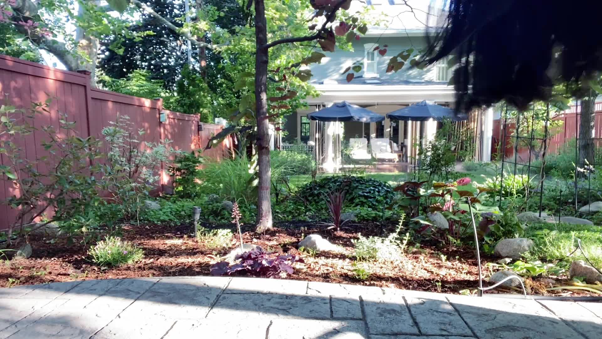 Video 922597 from Ehmbiesss / Windblomma / Ehmbies