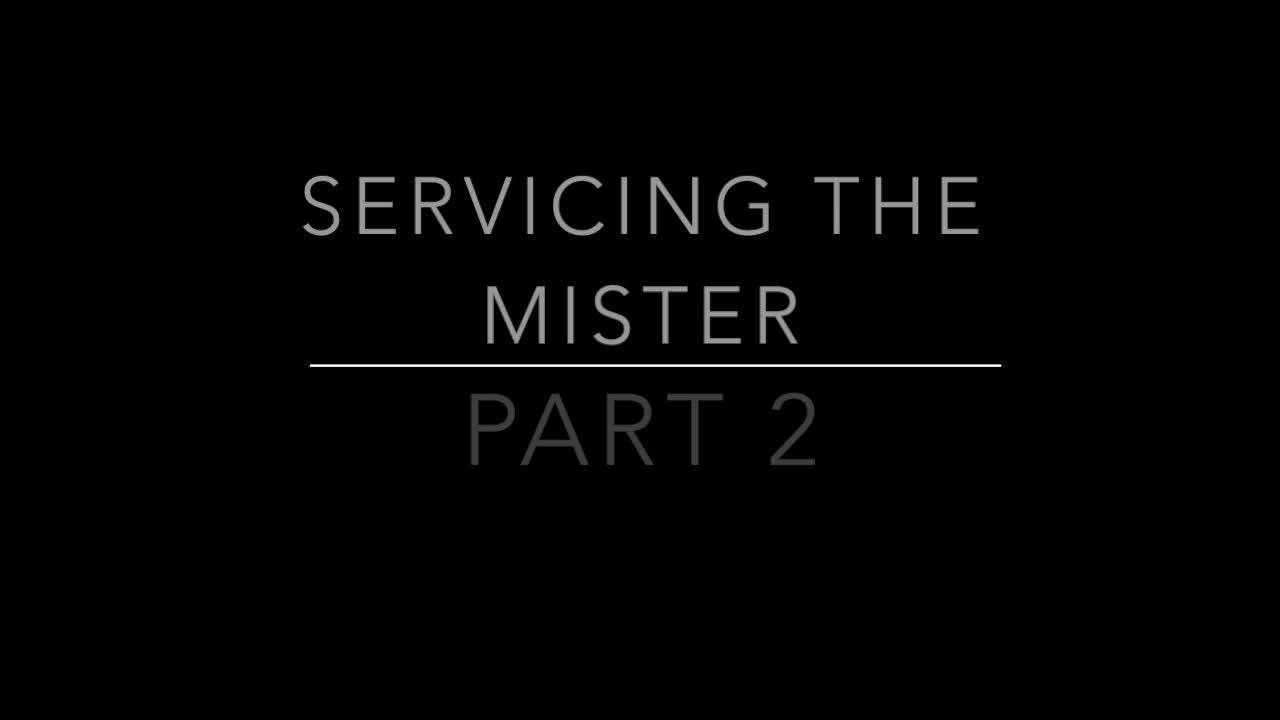 Video 924937 from Stella Sol / thestellargf