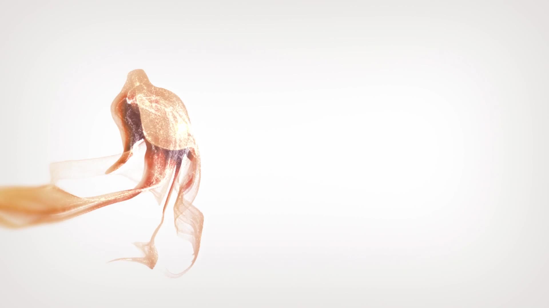 Video 924949 from Stella Sol / thestellargf