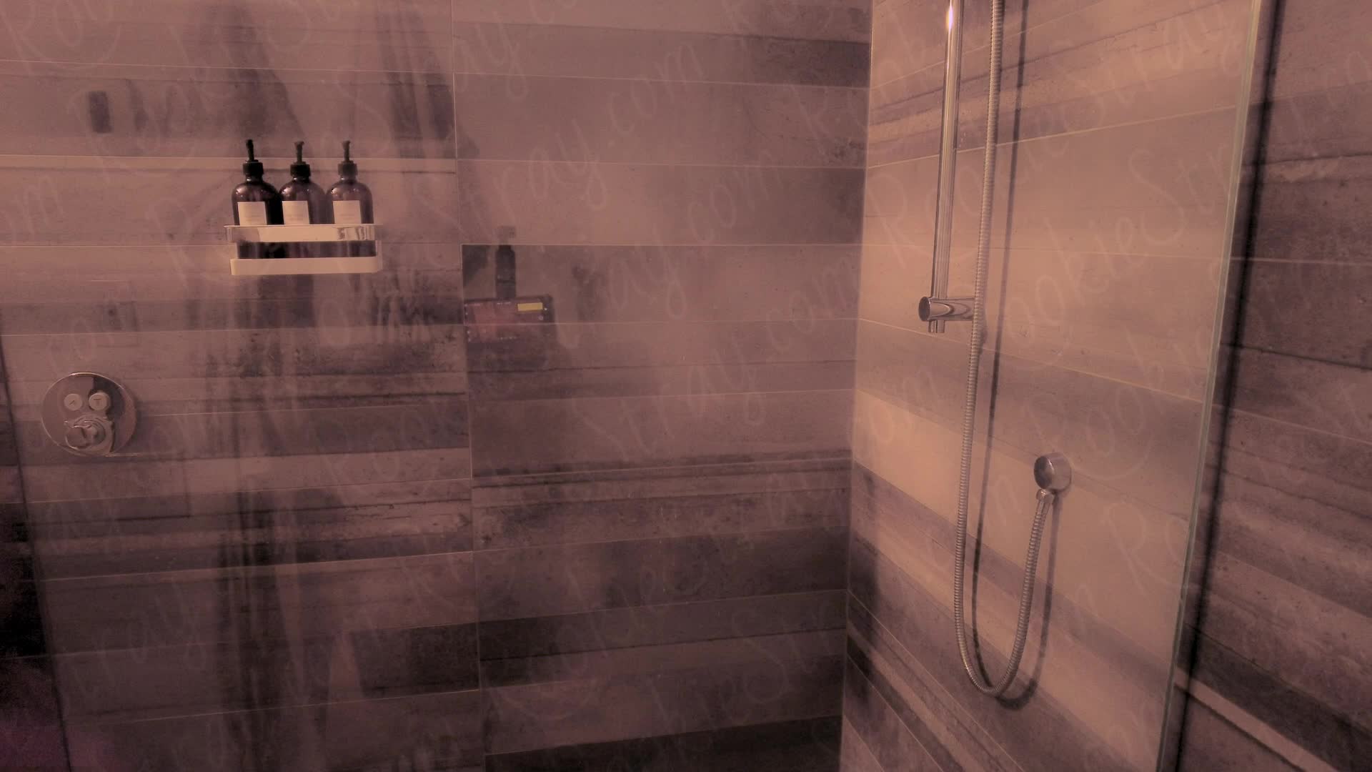 Video 925327 from Rookie Stray