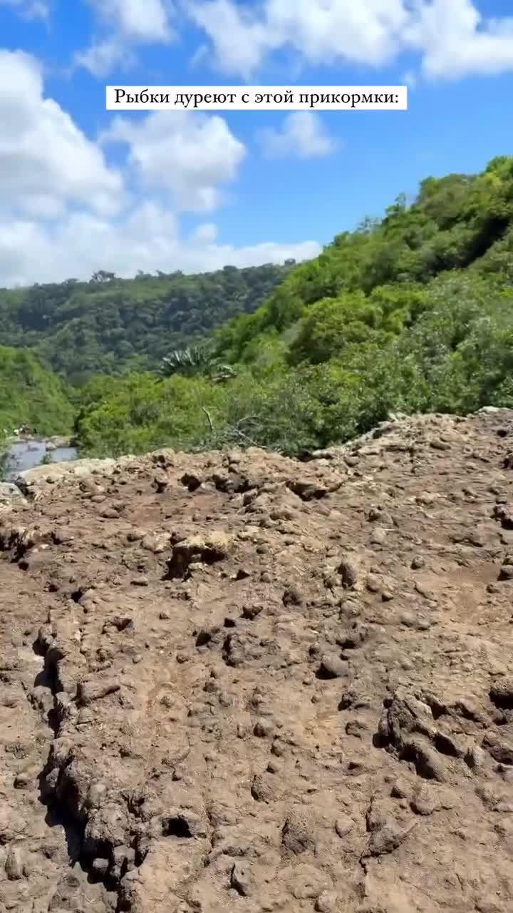 Video 927155 from Klava Koka