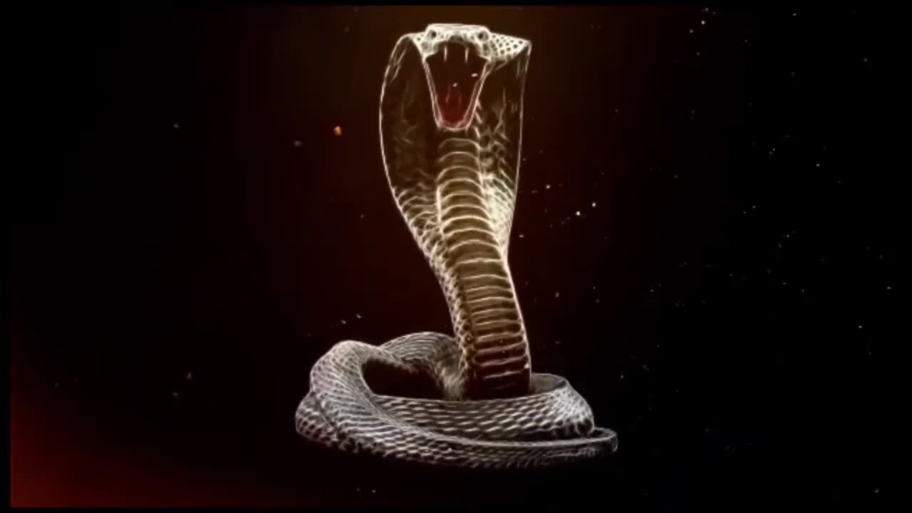 Video 927555 from mrsavaandrews