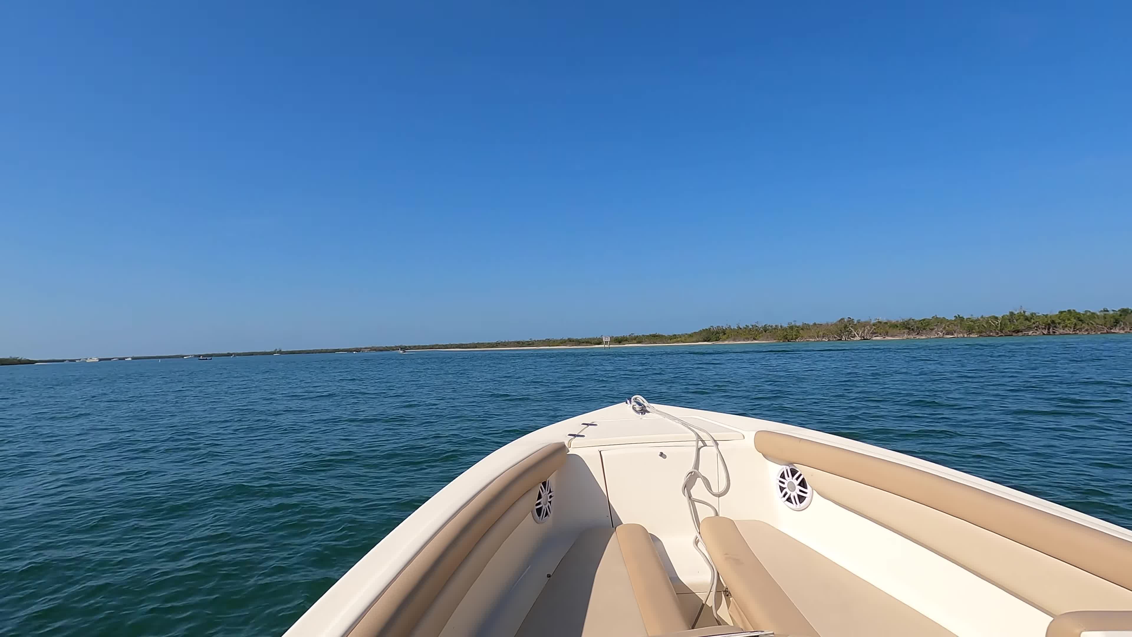 Video 927654 from Everything Amy