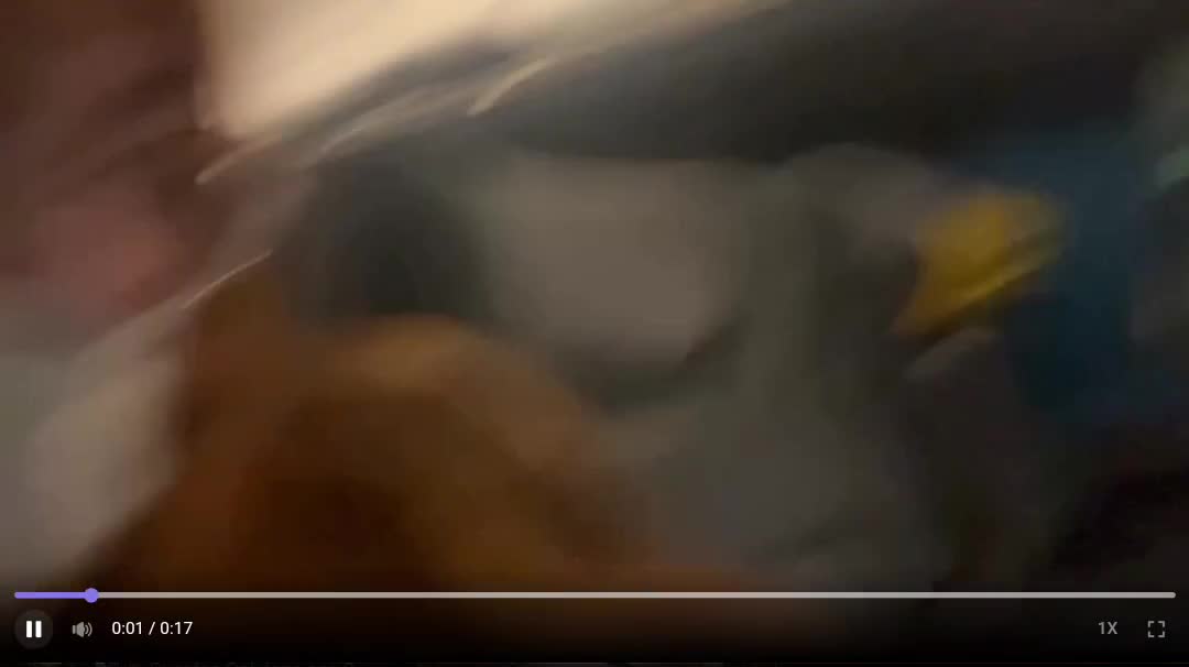 Video 935727 from Sttaringart