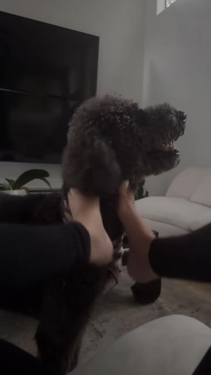 Video 936261 from Brenda Ragel/Guzman