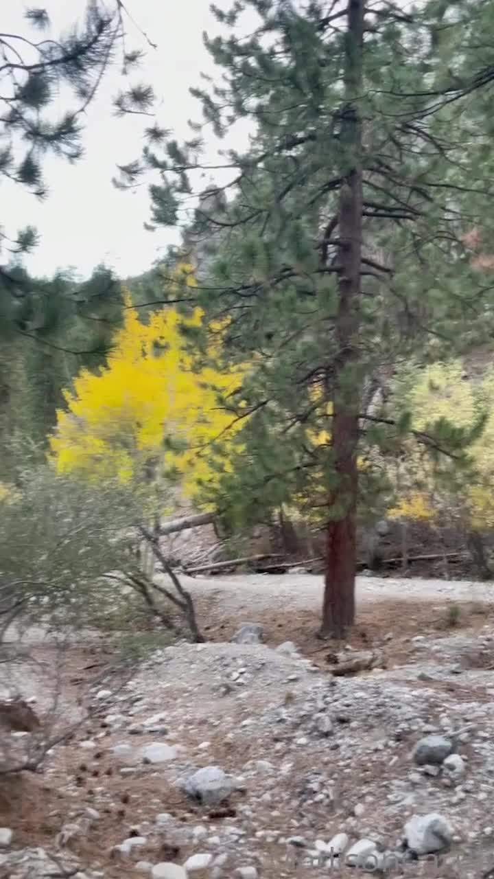 Video 938680 from Madison Carter