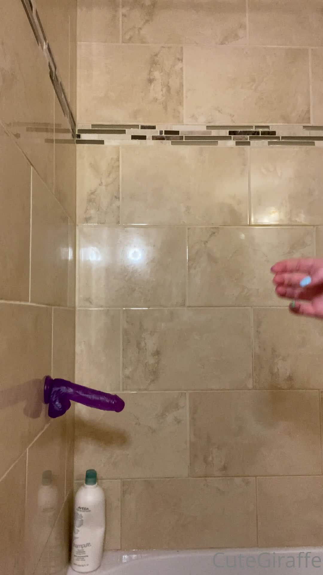 Video 939139 from Cutegiraffe