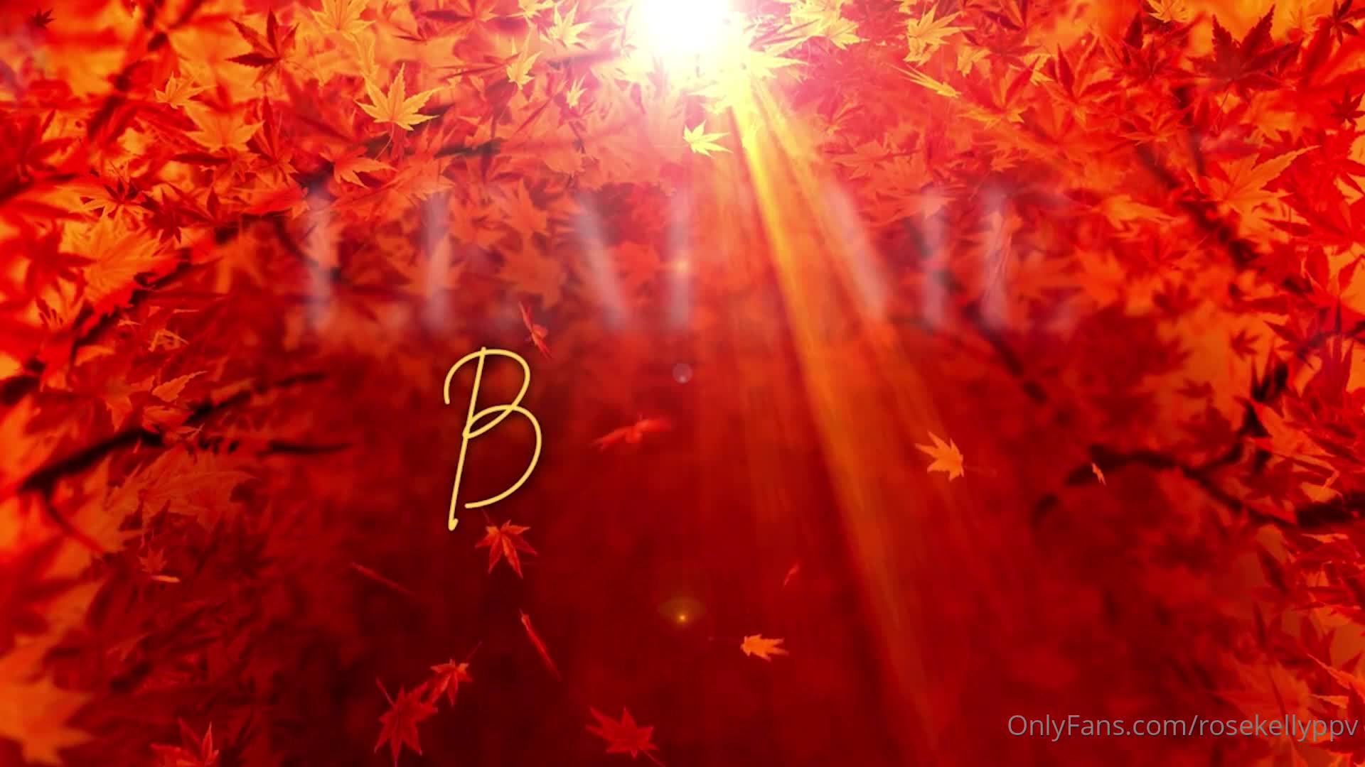 Video 939277 from Rose Kelly