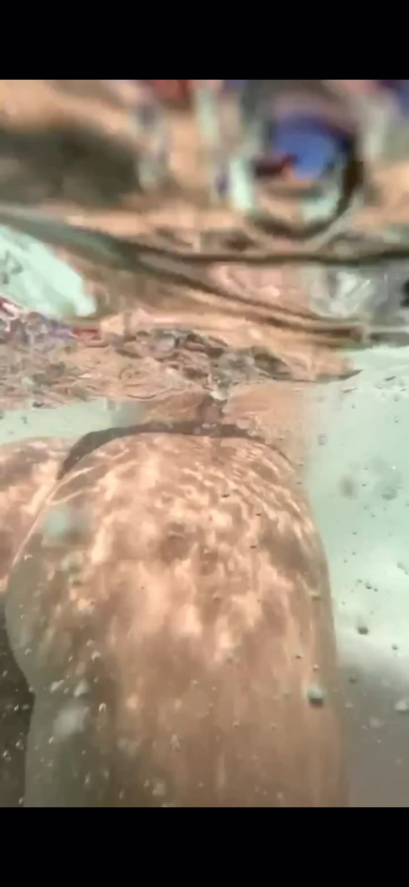 Video 939655 from Euphoriawild