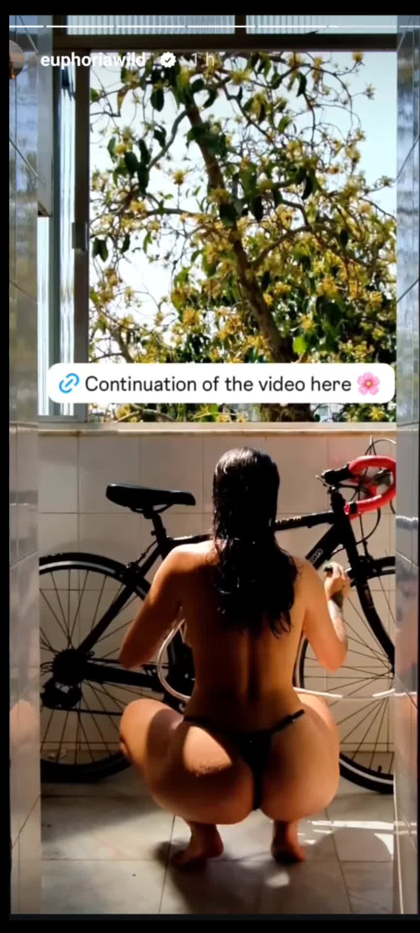 Video 939665 from Euphoriawild