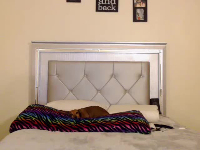 Video 939885 from Madison Carter